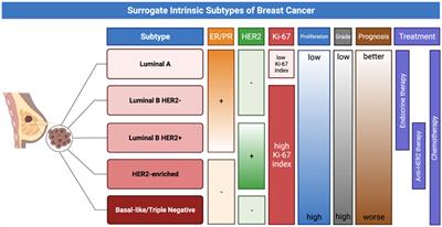 Non-conventional and Investigational PET Radiotracers for Breast Cancer: A Systematic Review